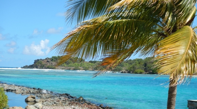 Wow – The Virgin Islands